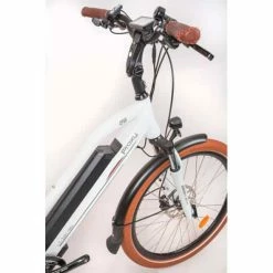 Doctibike Batterie PROXYCYCLE Le Boomer 460mm 48V 14,5Ah : -Chargeur vélo électrique Basprix batterie proxycycle le boomer 48v 4