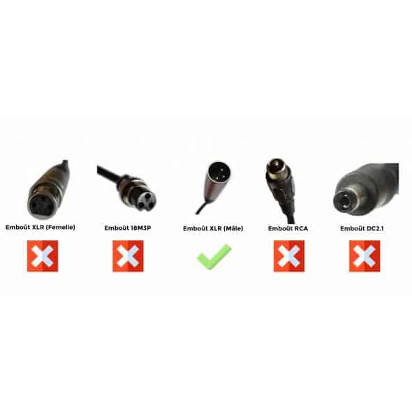 Doctibike Chargeur Lithium Ion 24V2A - Embout XLR Mâle (dimension : 18mm) 1 Doctibike Chargeur Lithium Ion 24V2A - Embout XLR Mâle (dimension : 18mm)