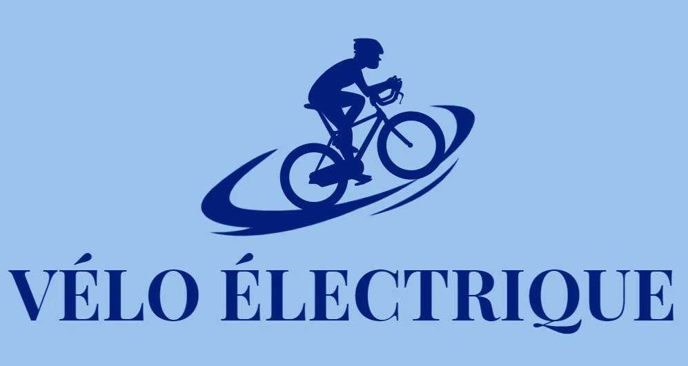 Chargeur vélo électrique Basprix