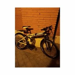Vélo Urbain 100% 8 Vélo Urbain 100% -Chargeur vélo électrique Basprix bicicleta 2