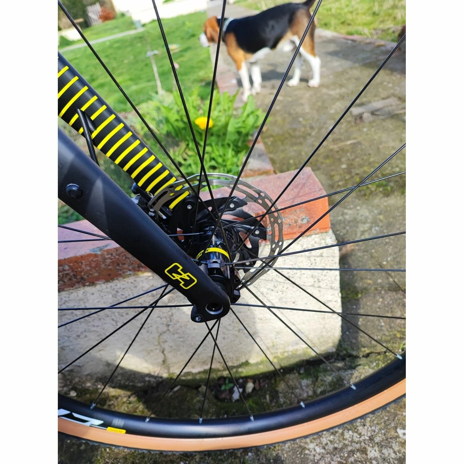 Ns-bikes Vélo De Gravel Ns Bikes - 56 - 700c 4 Ns-bikes Vélo De Gravel Ns Bikes - 56 - 700c – Image 4