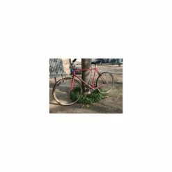 Vélo Urbain Autre Marque 5 Vélo Urbain Autre Marque -Chargeur vélo électrique Basprix velo ville single speed ginet 2